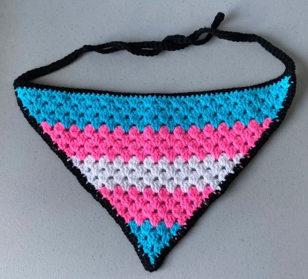 Transgender Bandana